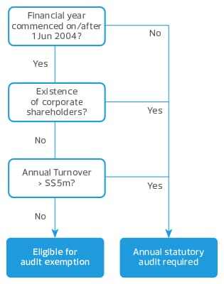 Previous Audit Exemption Criteria