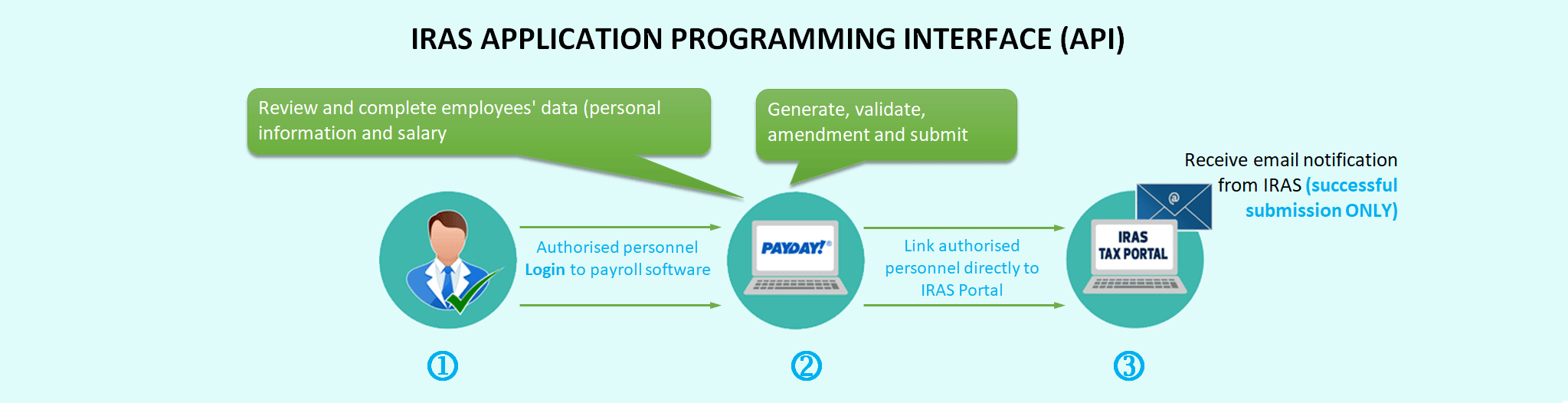 IRAS Application Programming Interface (API)