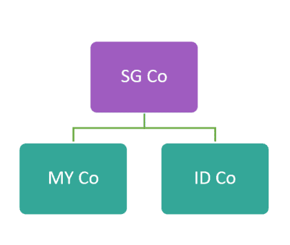 Direct Holding Share Structure